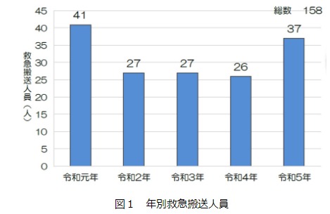 歩きスマホによる年代別緊急搬送者数